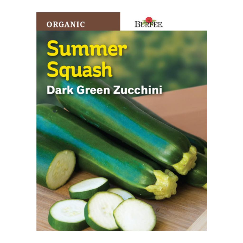 BURPEE ORGANIC SUMMER SQUASH- DARK GREEN