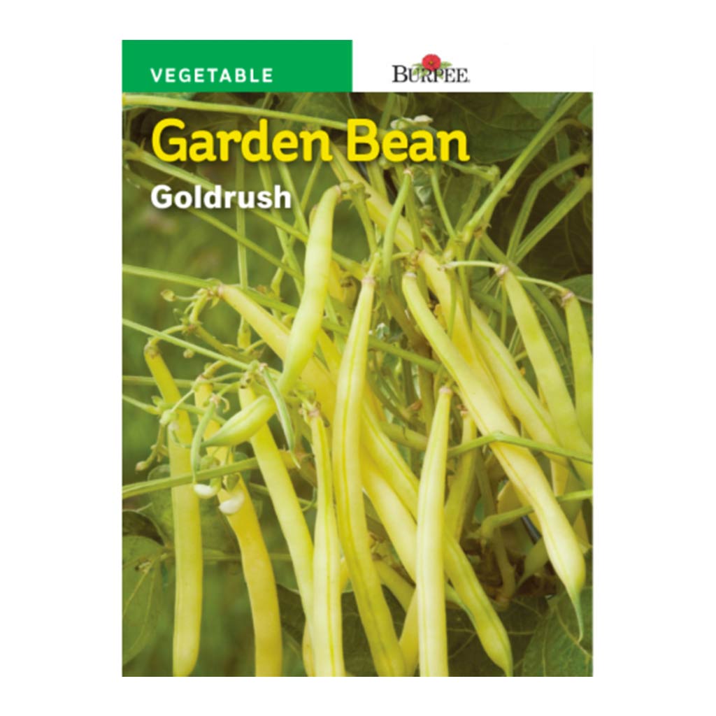 BURPEE GARDEN BEAN - GOLDRUSH