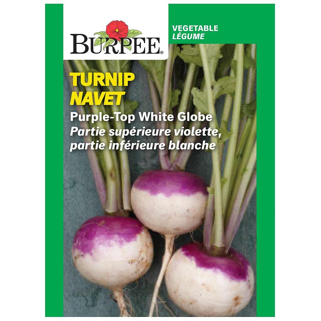 BURPEE TURNIP