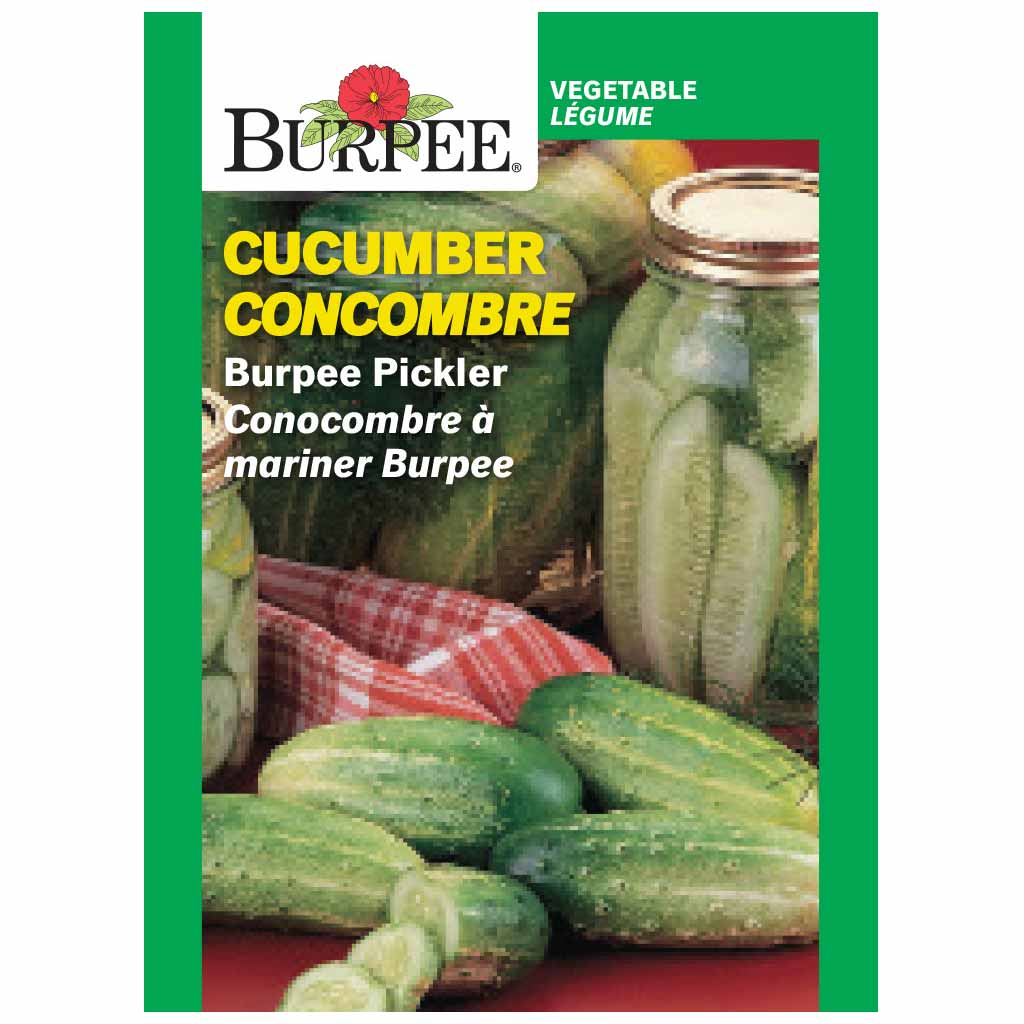 BURPEE CUCUMBER - BURPEE PICKLER