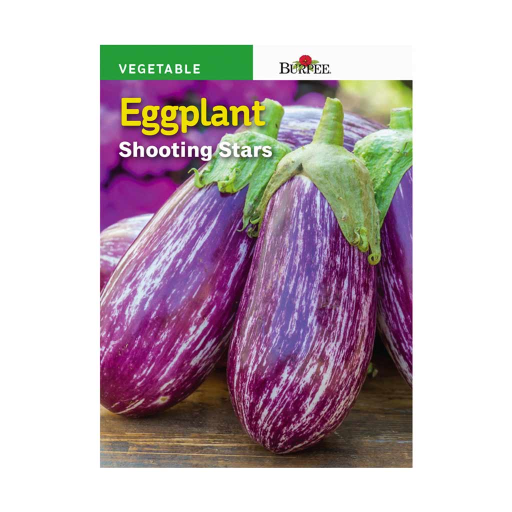 BURPEE EGGPLANT - SHOOTING STARS