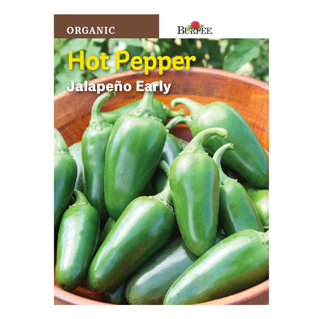 BURPEE HOT PEPPER - JALAPENO EARLY