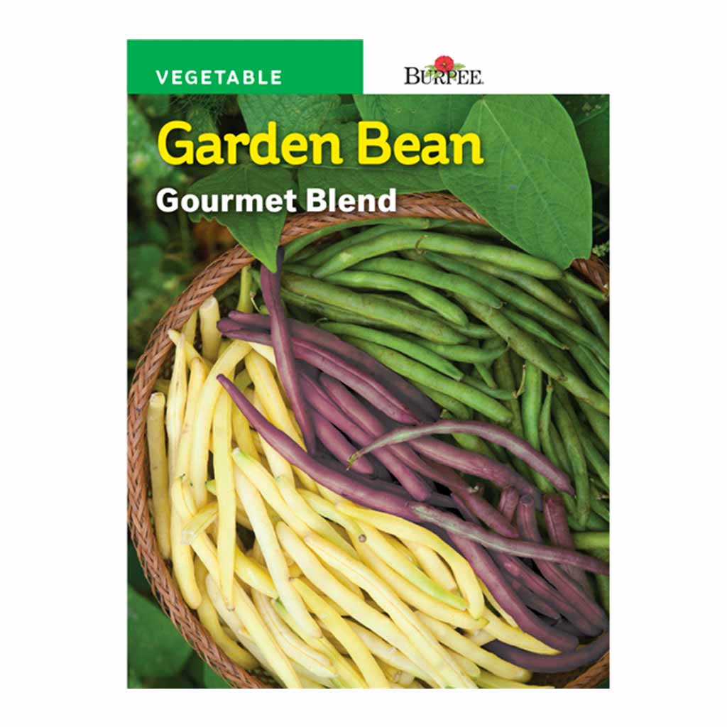 BURPEE GARDEN BEAN - GOURMET BLEND