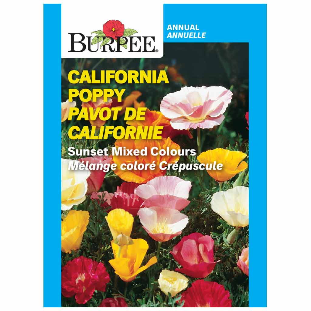 BURPEE CALIFORNIA POPPY