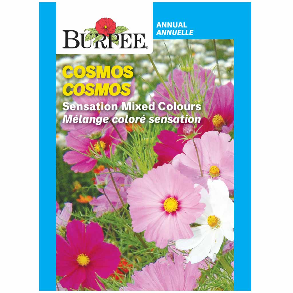 BURPEE COSMOS - SENSATION MIXED COLOURS