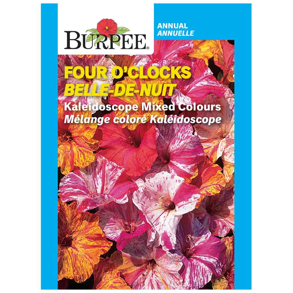 BURPEE FOUR O'CLOCKS - KALEIDOSCOPE MIXED COLOURS