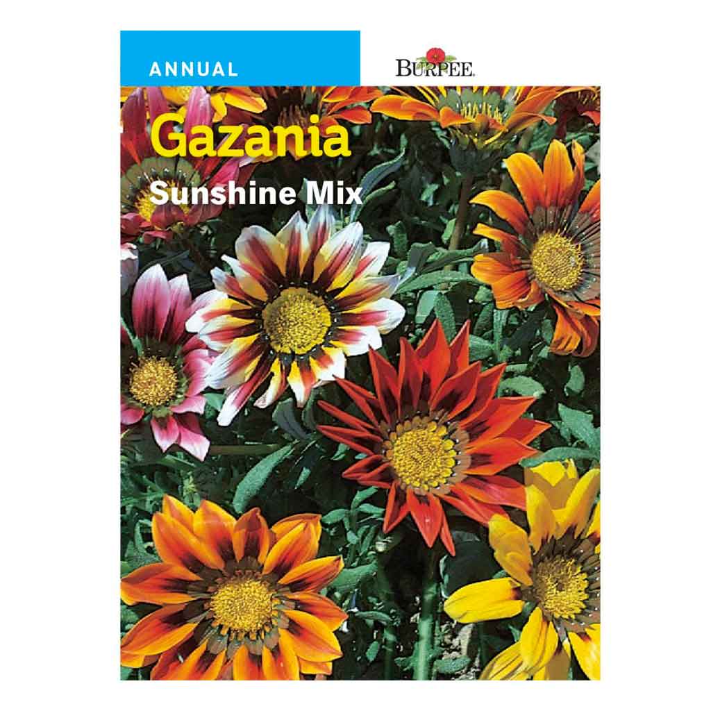 BURPEE GAZANIA- SUNSHINE MIX