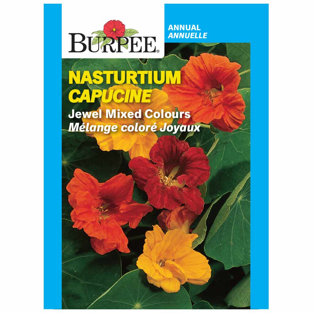 BURPEE NASTURTIUM - JEWEL MIXED COLOURS