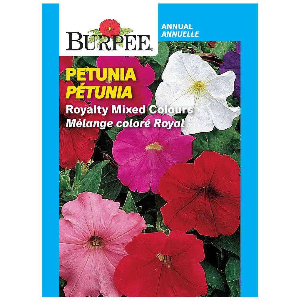 BURPEE PETUNIA - ROYALY MIXED COLOURS