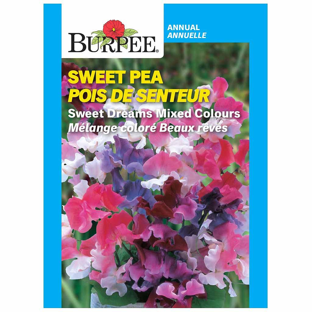 BURPEE SWEET PEA - SWEET DREAMS MIXED COLOURS