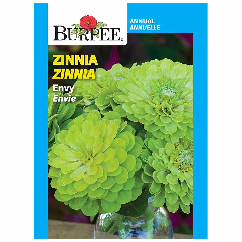 BURPEE ZINNIA - ENVY