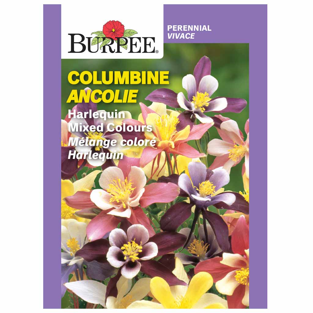 BURPEE COLUMBINE - HARLEQUIN MIXED COLOURS