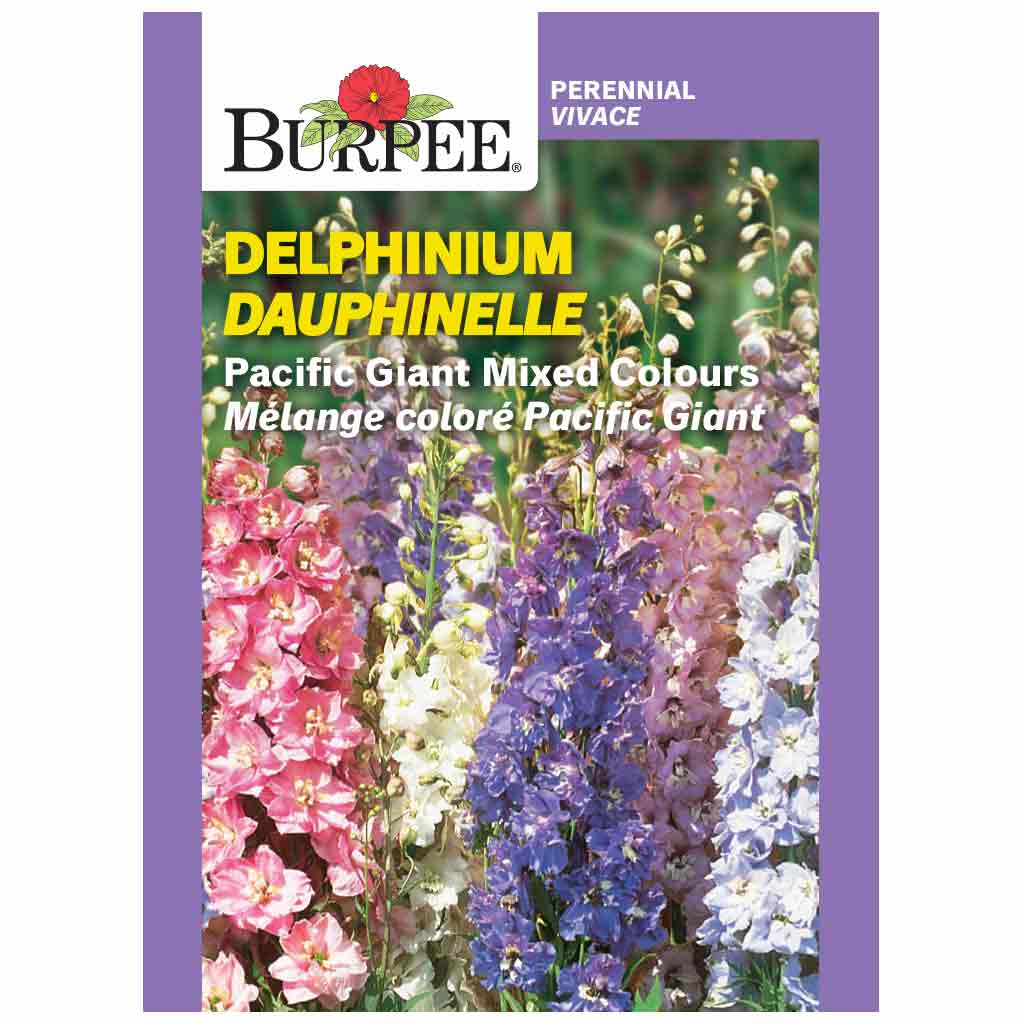 BURPEE DELPHINIUM