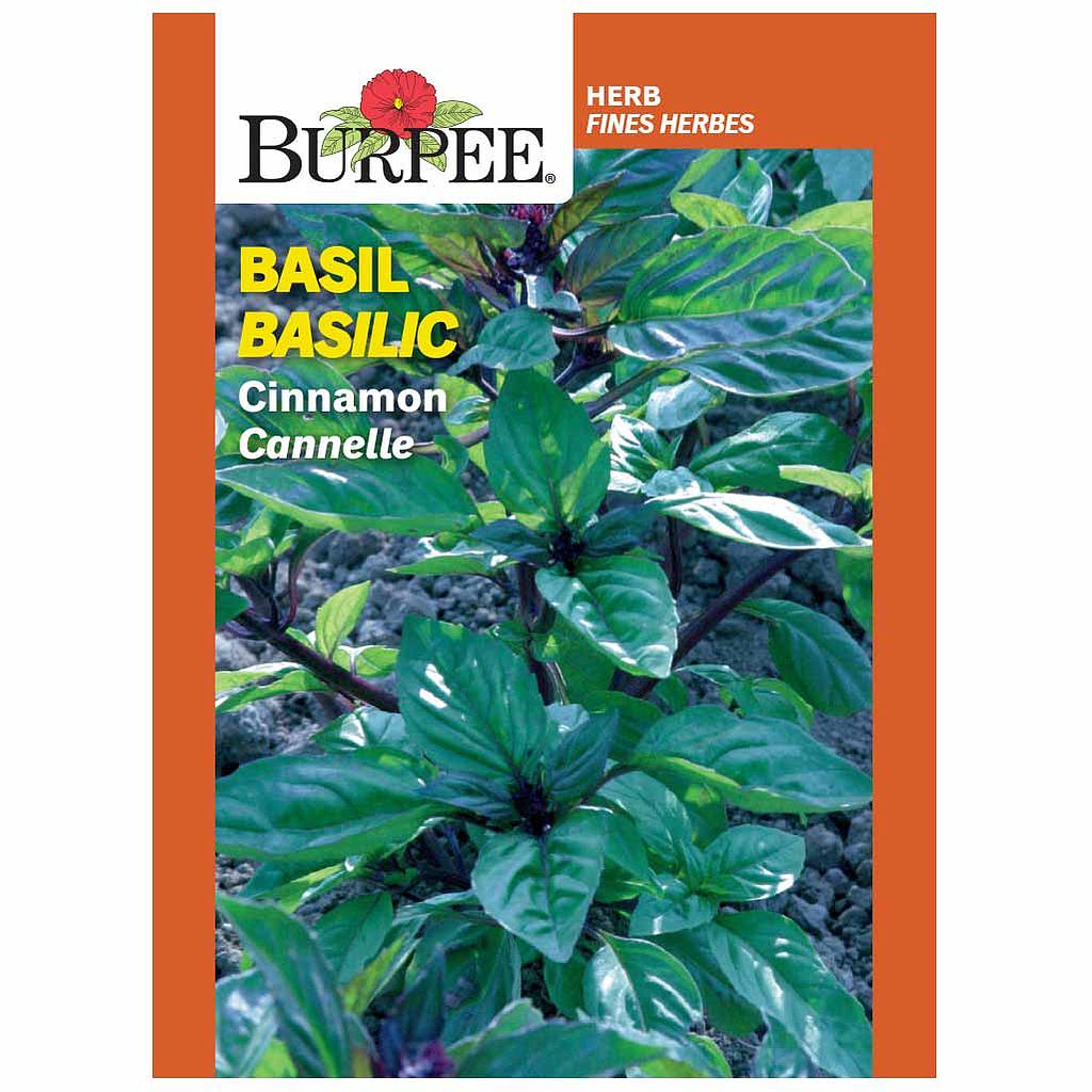 BURPEE HERB BASIL - CINNAMON