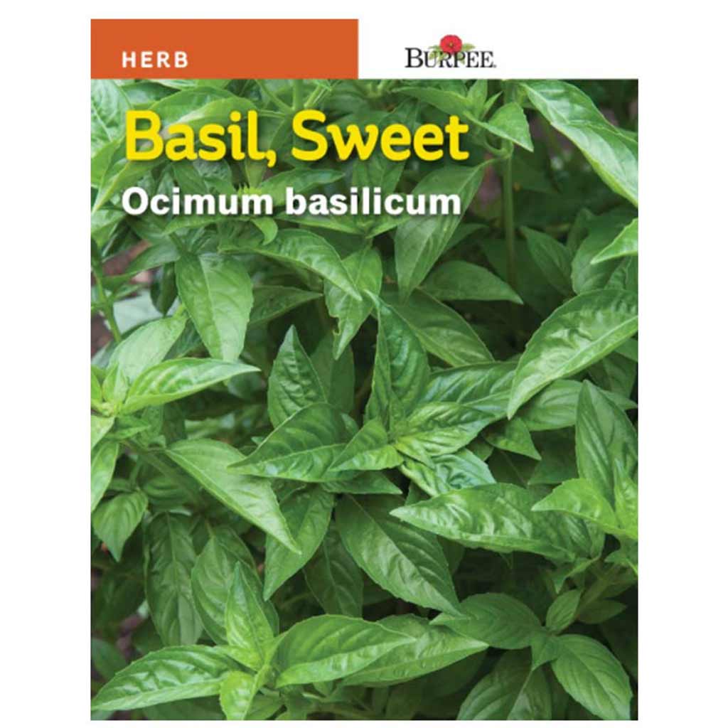 BURPEE HERB BASIL - SWEET