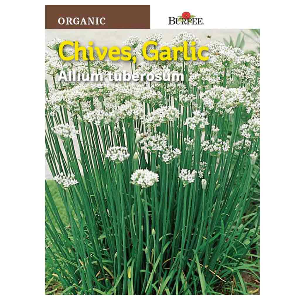 BURPEE HERB CHIVES - GARLIC