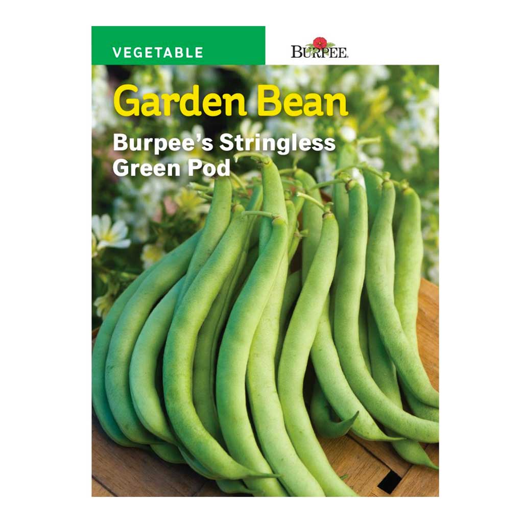 BURPEE GARDEN BEAN - STRINGLESS GREEN POD