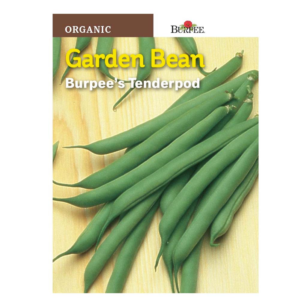 BURPEE GARDEN BEAN - TENDERPOD