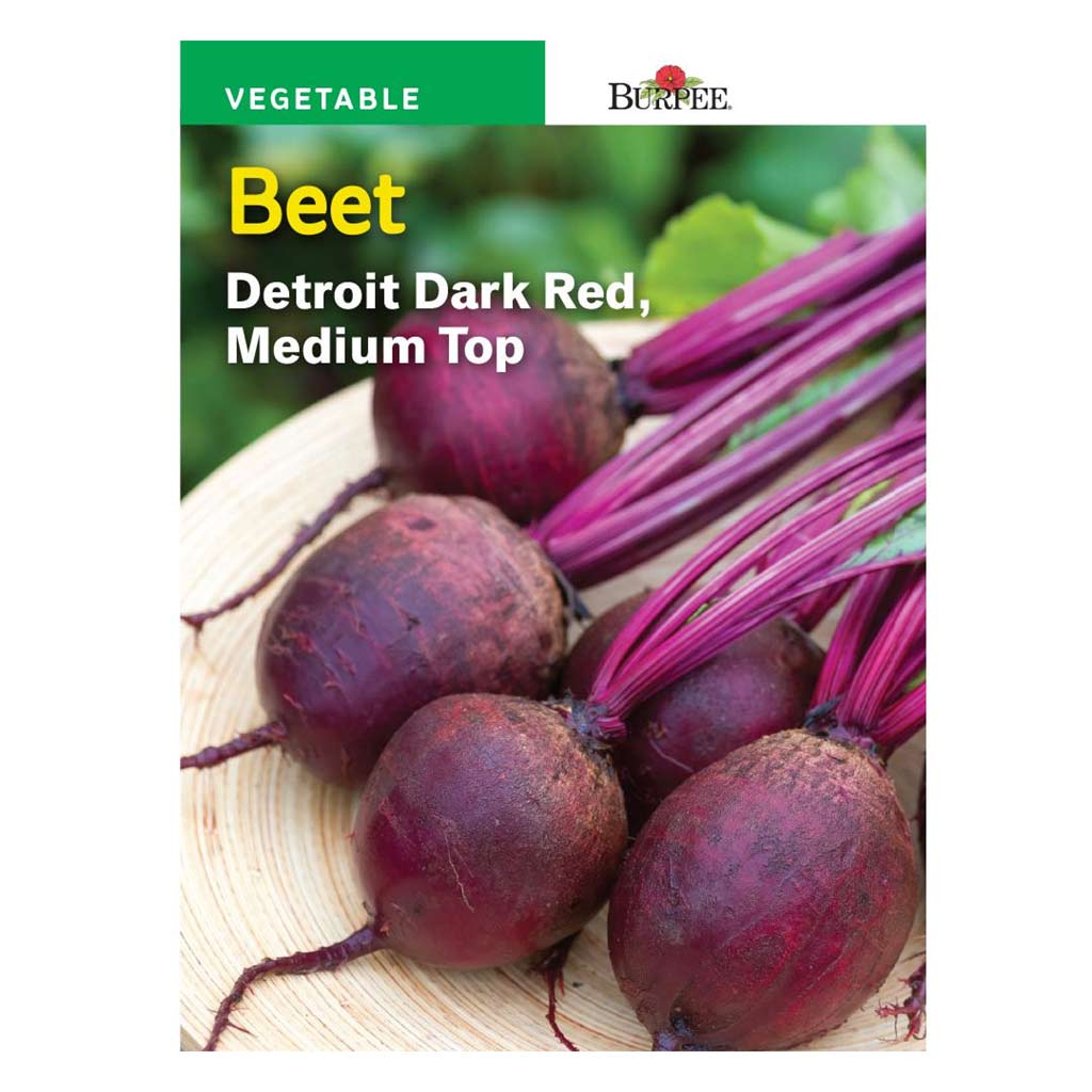 BURPEE BEET - DETROIT DARK RED