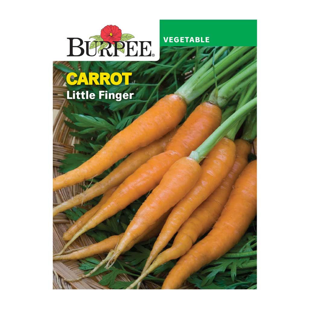 BURPEE CARROT - LITTLE FINGER