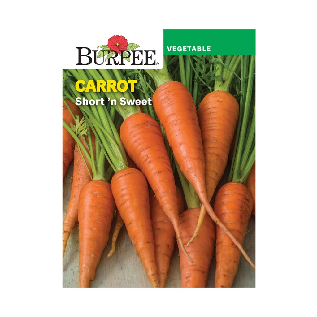 BURPEE CARROT - SHORT N' SWEET 