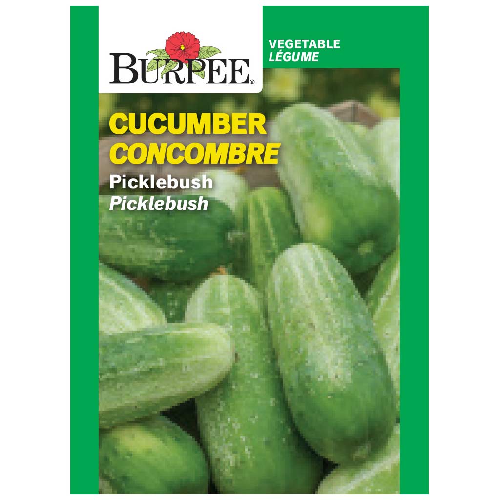 BURPEE CUCUMBER - PICKLEBUSH