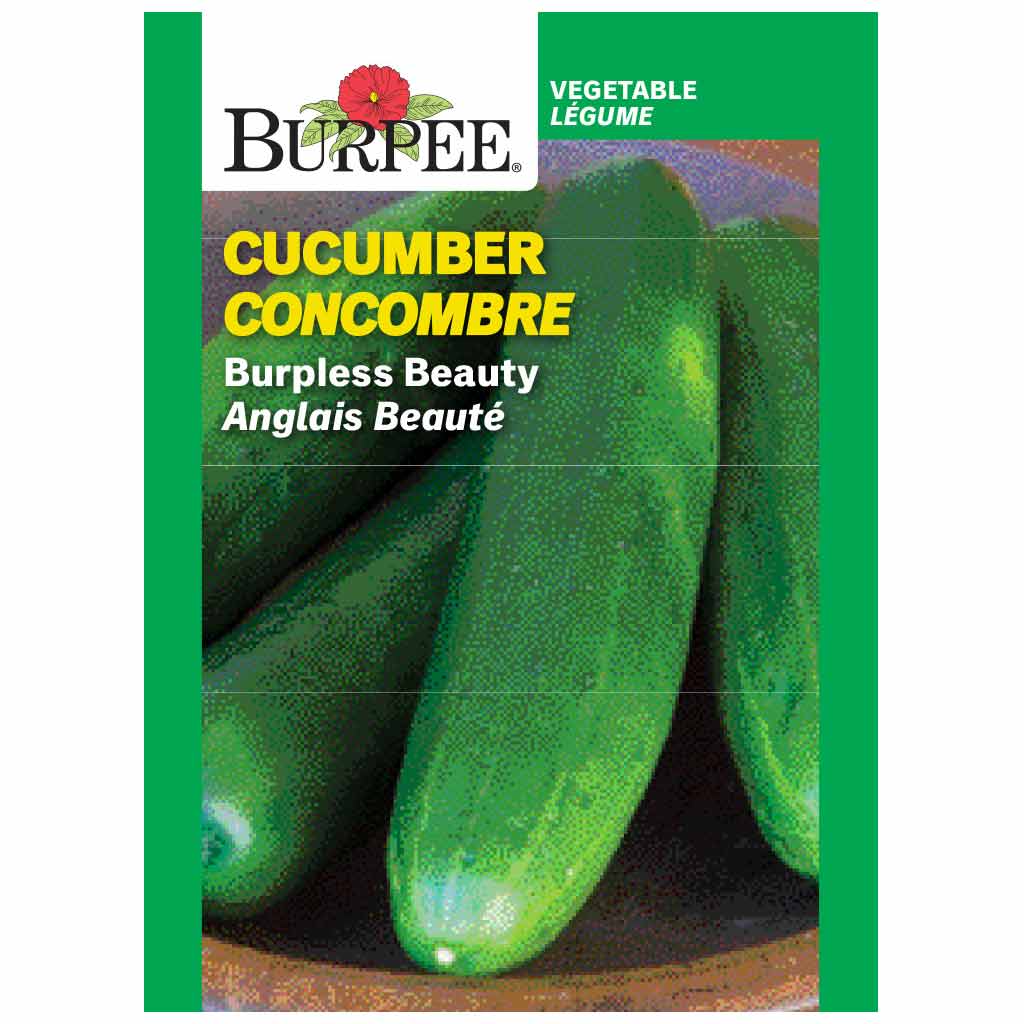 BURPEE CUCUMBER - BURPLESS BEAUTY