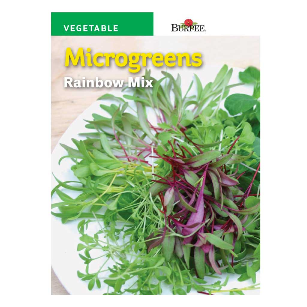 BURPEE MICROGREENS