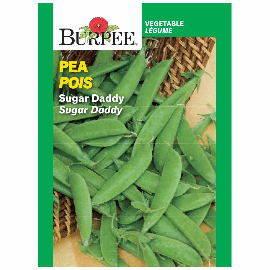 BURPEE PEA - SUGAR DADDY