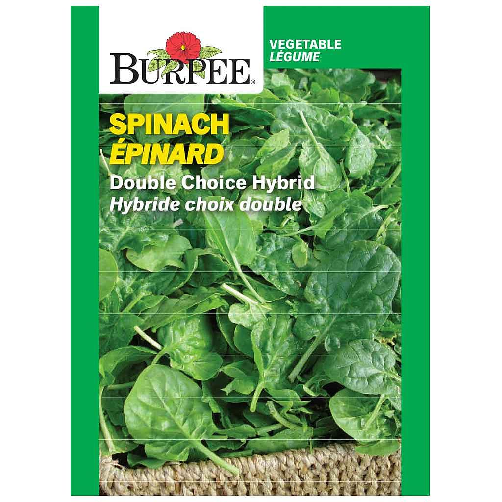 BURPEE SPINACH - DOUBLE CHOICE HYBRID