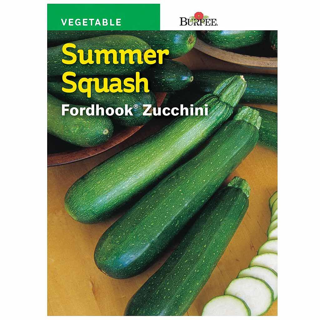 BURPEE SUMMER SQUASH - FORDHOOK ZUCCHINI