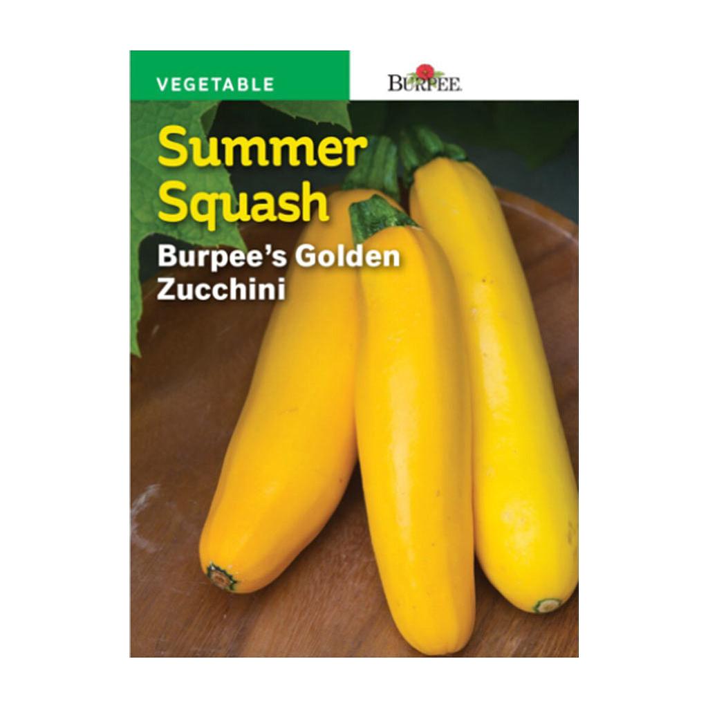 BURPEE SUMMER SQUASH - BURPEE'S GOLDEN ZUCCHINI