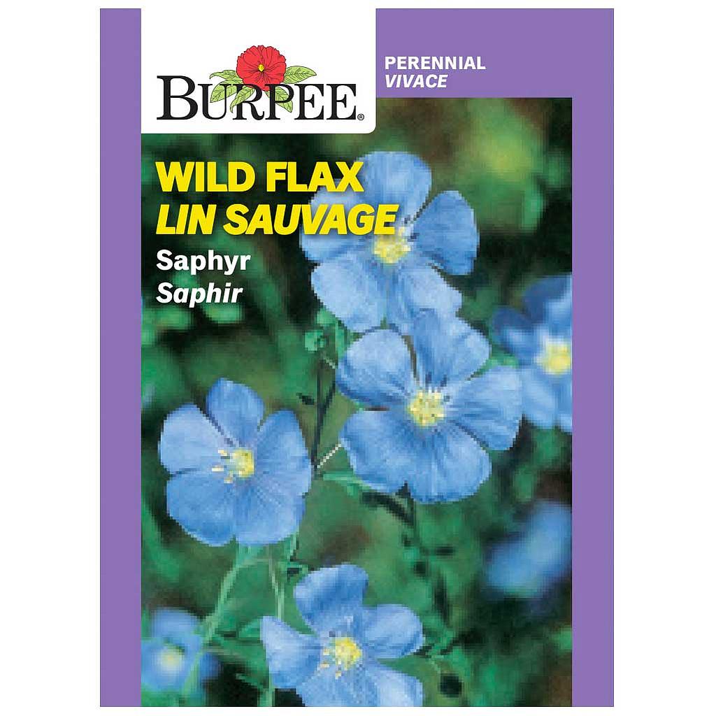 BURPEE WILD FLAX