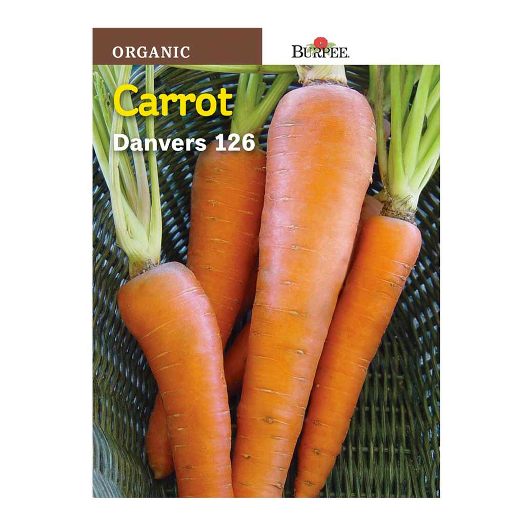 BURPEE ORGANIC CARROT- DANVERS 126