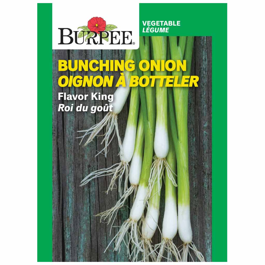 BURPEE BUNCHING ORGANIC ONION