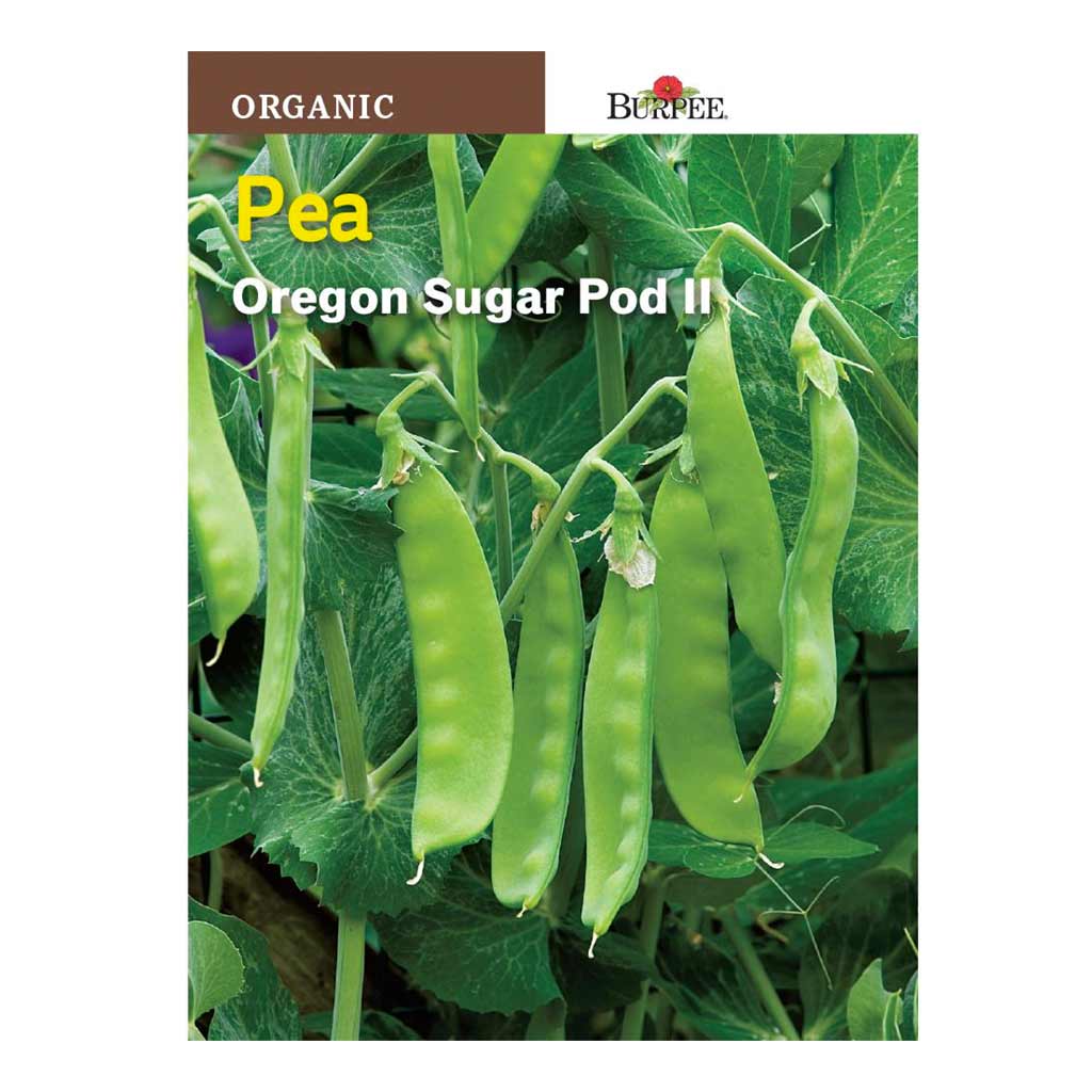 BURPEE ORGANIC PEA - OREGON SUGAR POD II