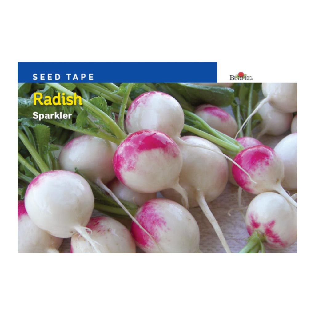 BURPEE RADISH SEED TAPE 