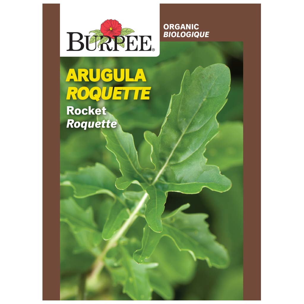 BURPEE ORGANIC ARUGULA 