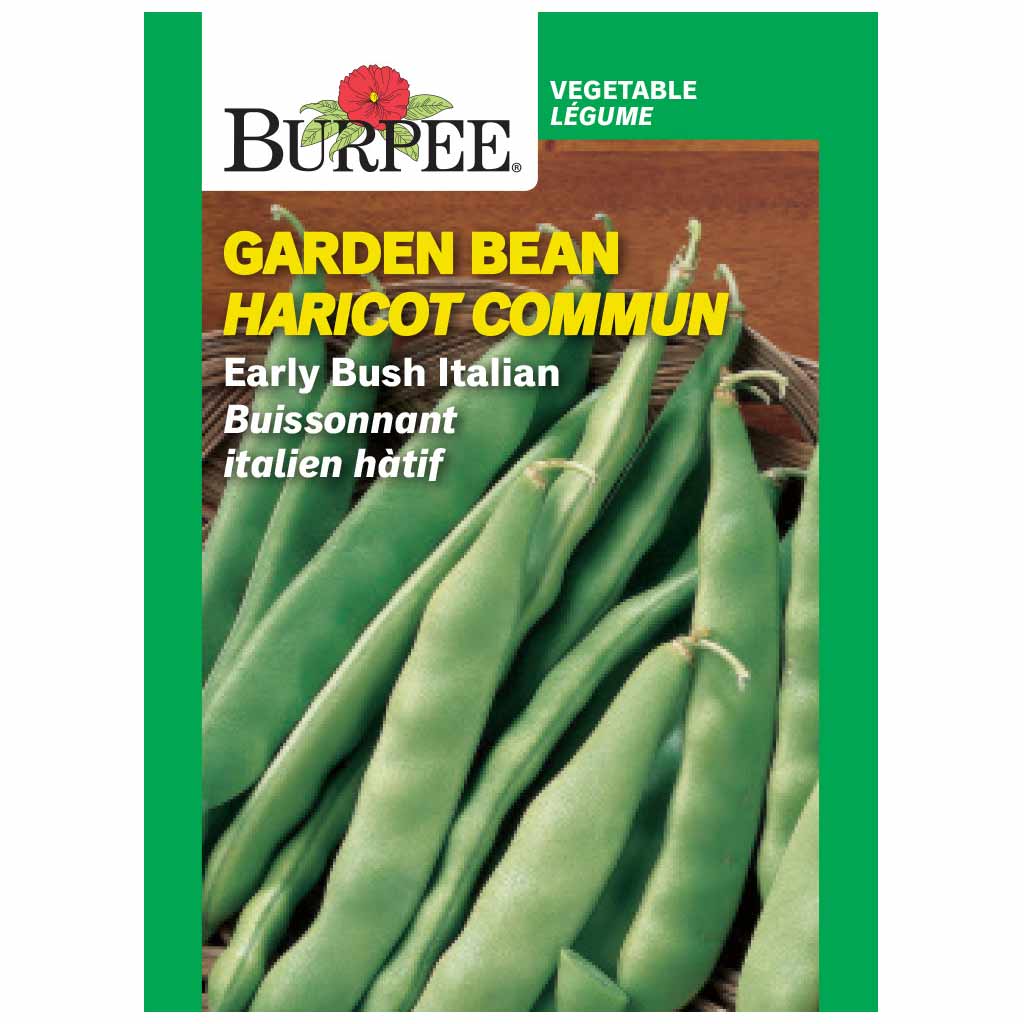 BURPEE GARDEN BEAN - EARLY BUSH ITALIAN