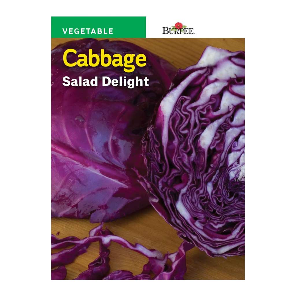 BURPEE CABBAGE - SALAD DELIGHT