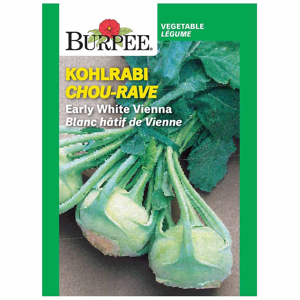 BURPEE KOHLRABI - EARLY WHITE VIENNA