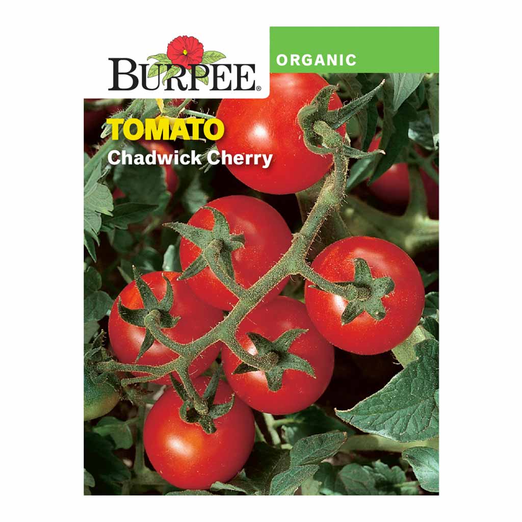 BURPEE ORGANIC TOMATO - CHADWICK CHERRY