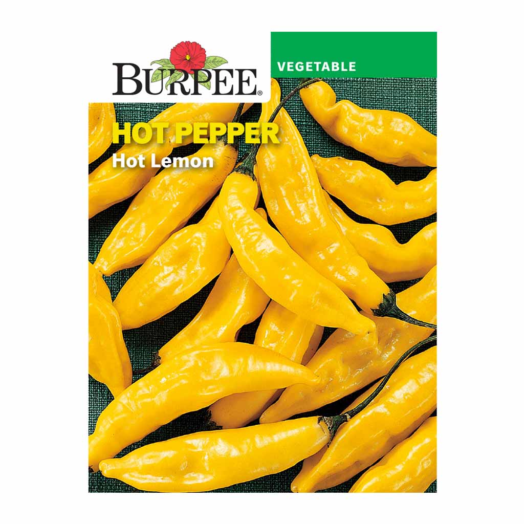 BURPEE HOT PEPPER - HOT LEMON