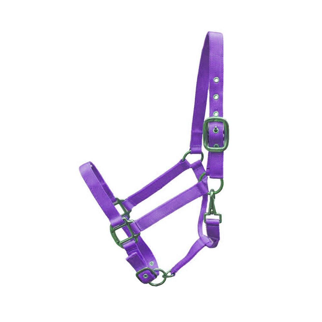 GER-RYAN CANADIAN HORSEWEAR NYLON HALTER YEARLING PURPLE