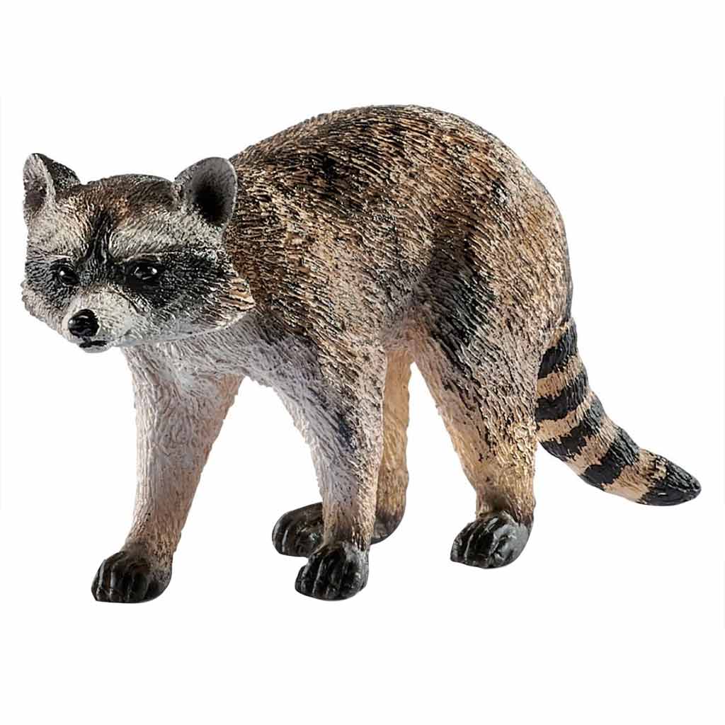 DV - SCHLEICH WL RACCOON