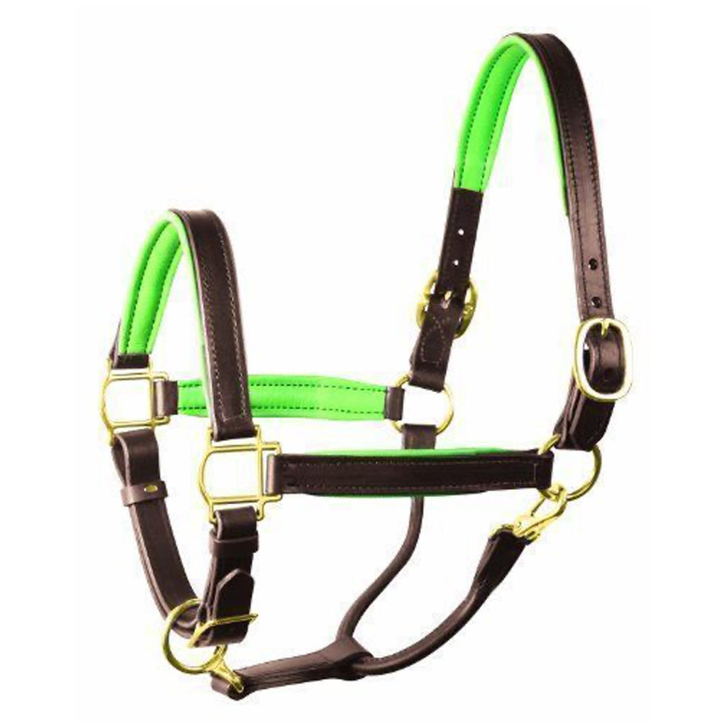 DR - GER-RYAN PADDED LEATHER HALTER LIME FULL