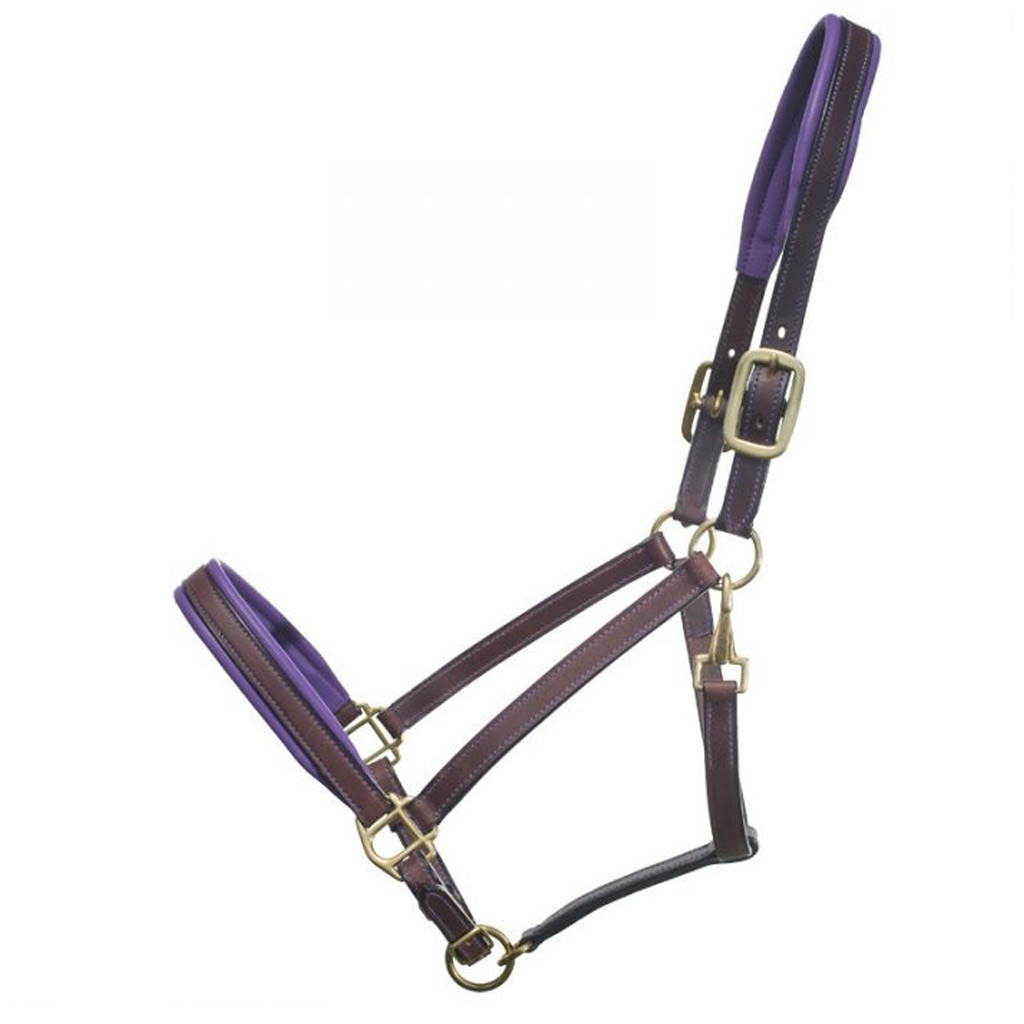 DR - GER-RYAN PADDED LEATHER HALTER PURPLE FULL