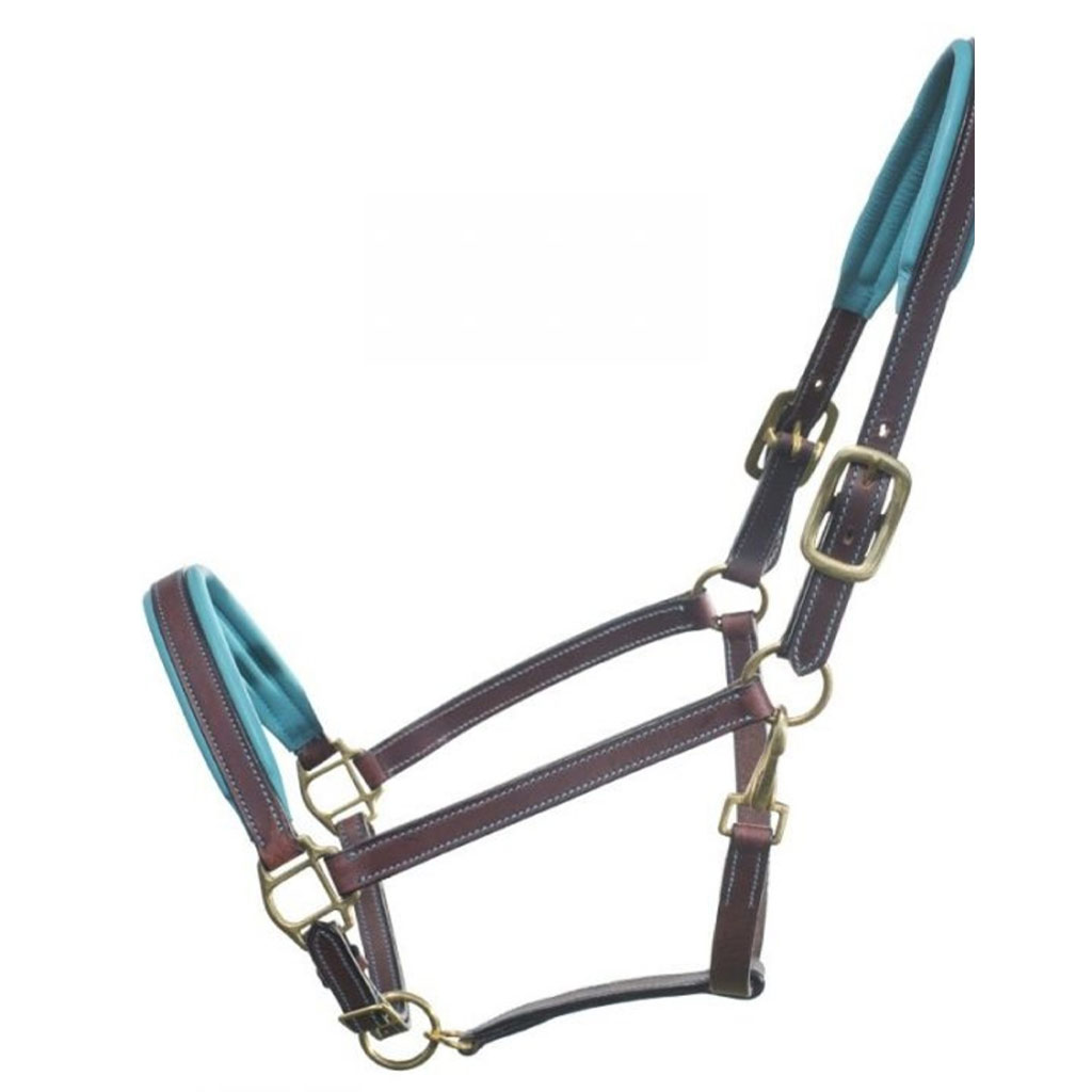 DR - GER-RYAN PADDED LEATHER HALTER TURQUOISE FULL