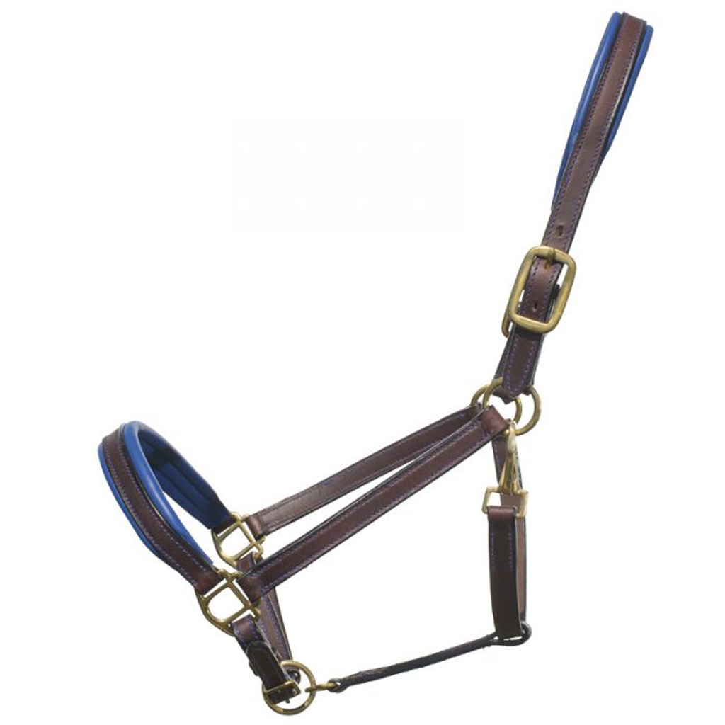 DR - GER-RYAN PADDED LEATHER HALTER BLUE FULL