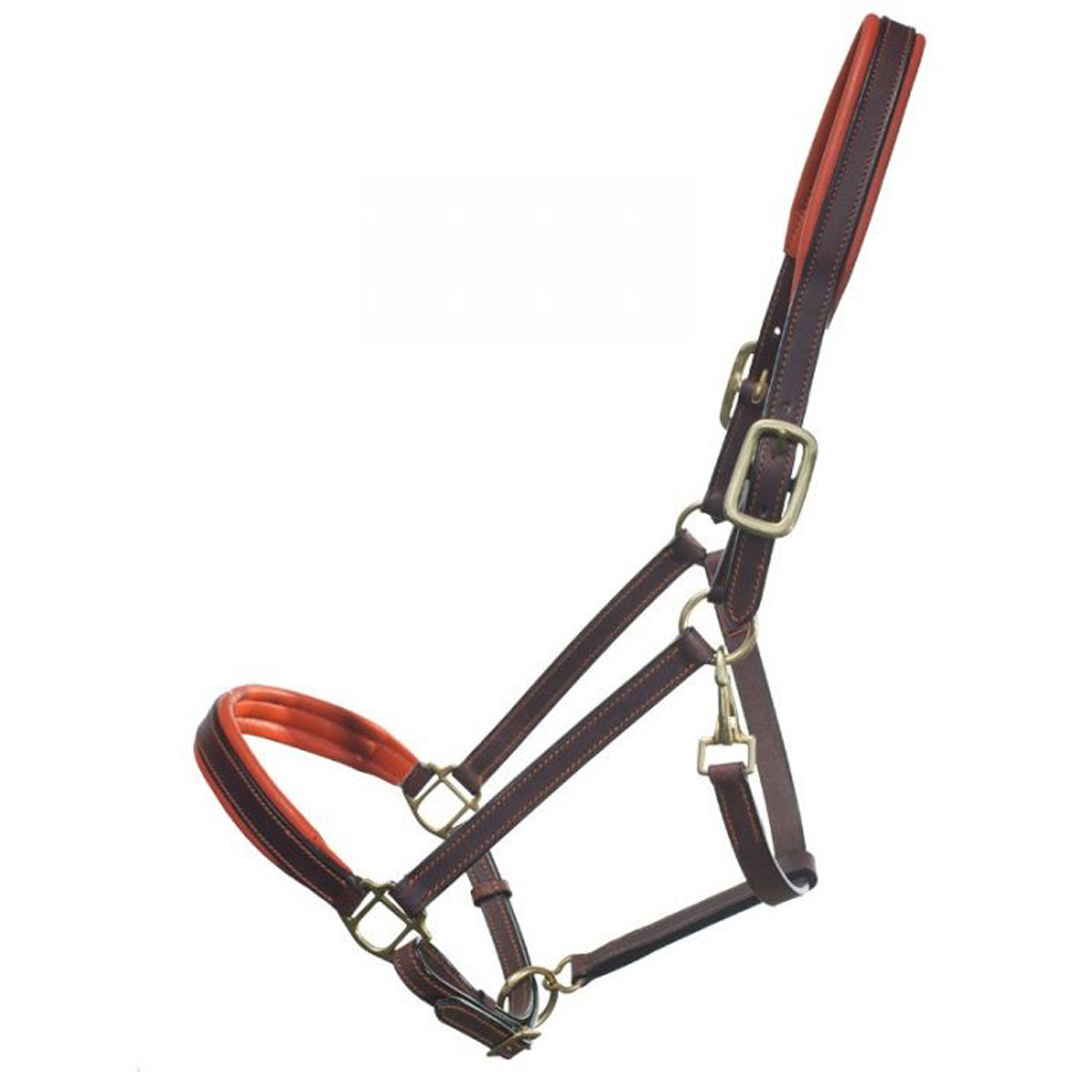 DR - GER-RYAN PADDED LEATHER HALTER ORANGE COB